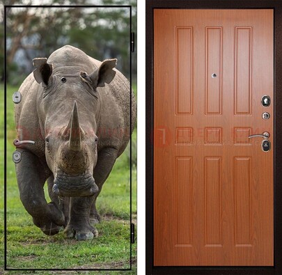 Металлическая дверь с фотопечатью носорога ДФ-31 в Волгограде